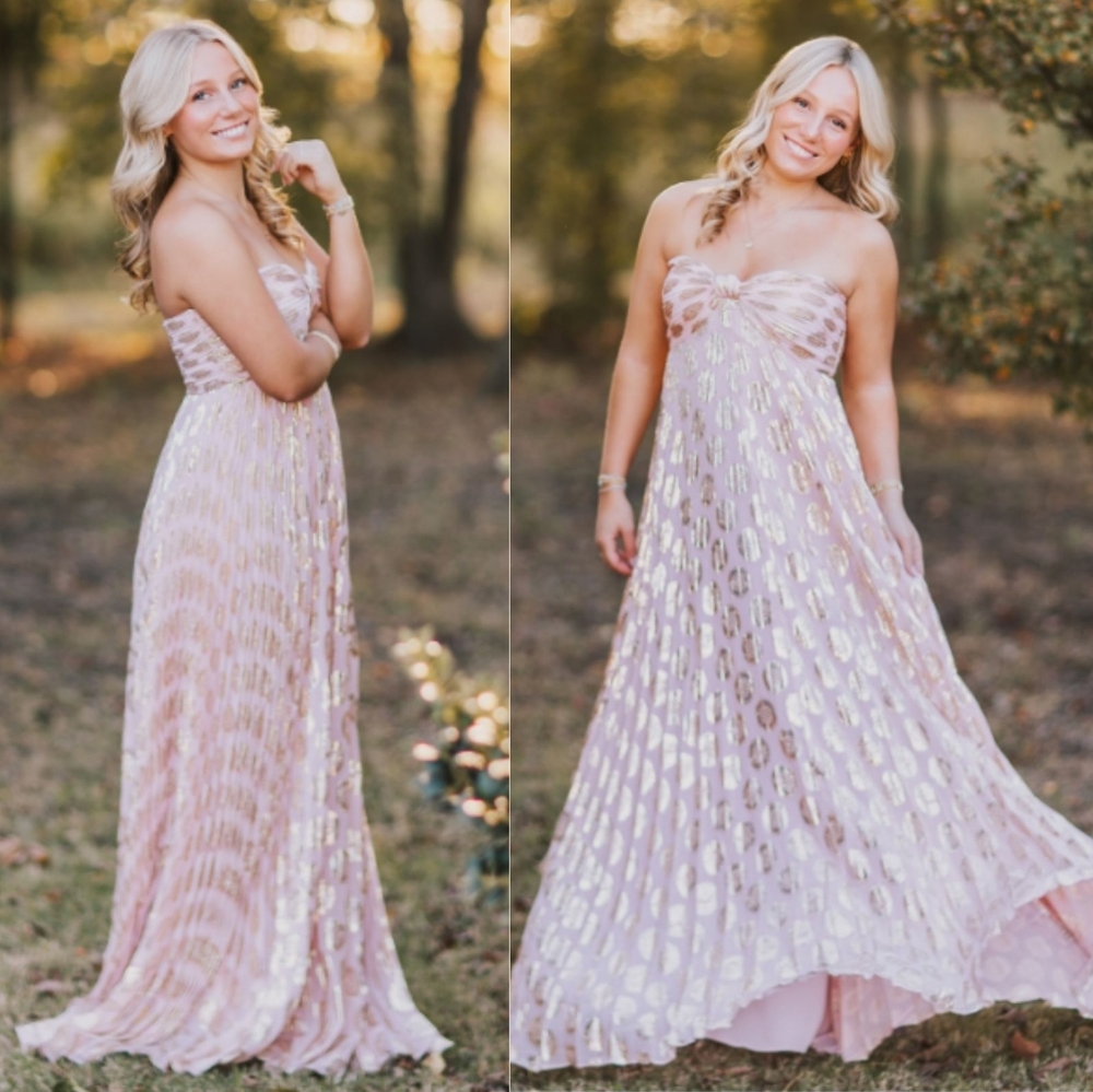 Alexis Maryana Maxi Dress Pink Murex Shell Strapless Pleated Metallic Size S - Picture 10 of 11